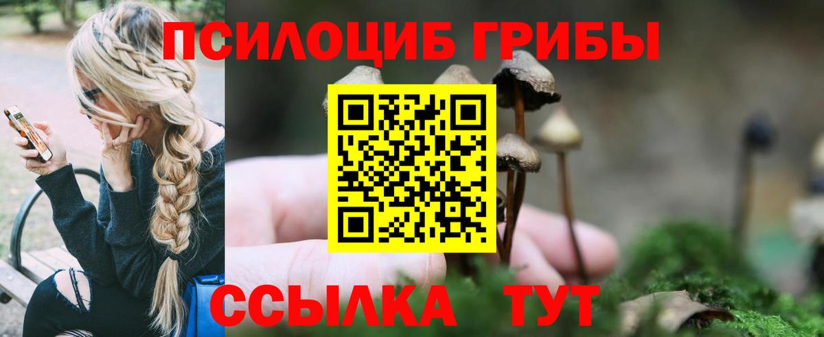 Березники  Псилоцибиновые грибы MAGIC MUSHROOMS  Вход с VPN 